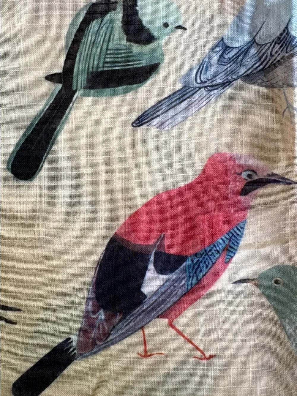 For Bird Lovers! Super Fun Women’s Beige Bird-Print Button-Up Shirt, Medium - Picture 9 of 16